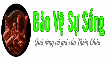 Tổng kết công tác bảo vệ sự sống năm 2015.