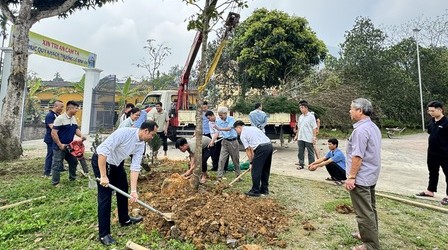 Hoạt động Môi trường tại Giáo họ Vĩnh Hòa